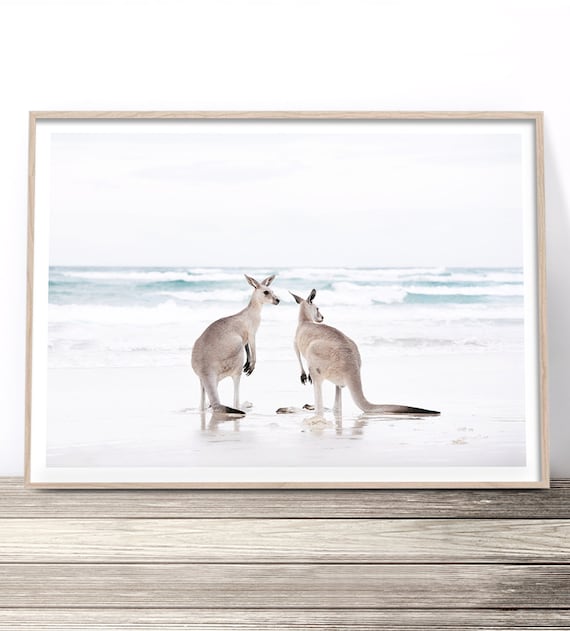 Kangaroo Beach Photography, Australiana Art Print