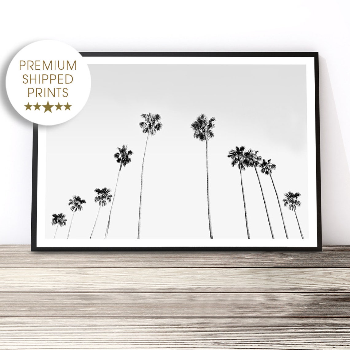 California Black And White Tall Palm Trees Minimal White Sky Poster