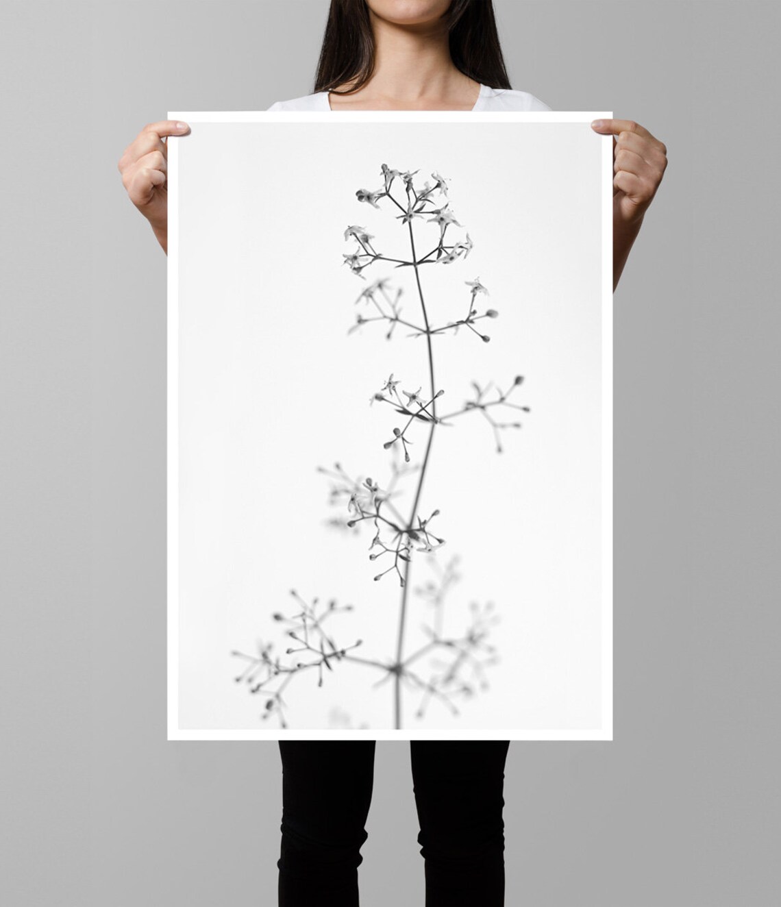Black and White Flower Photography, Scandi Decor - Image 2