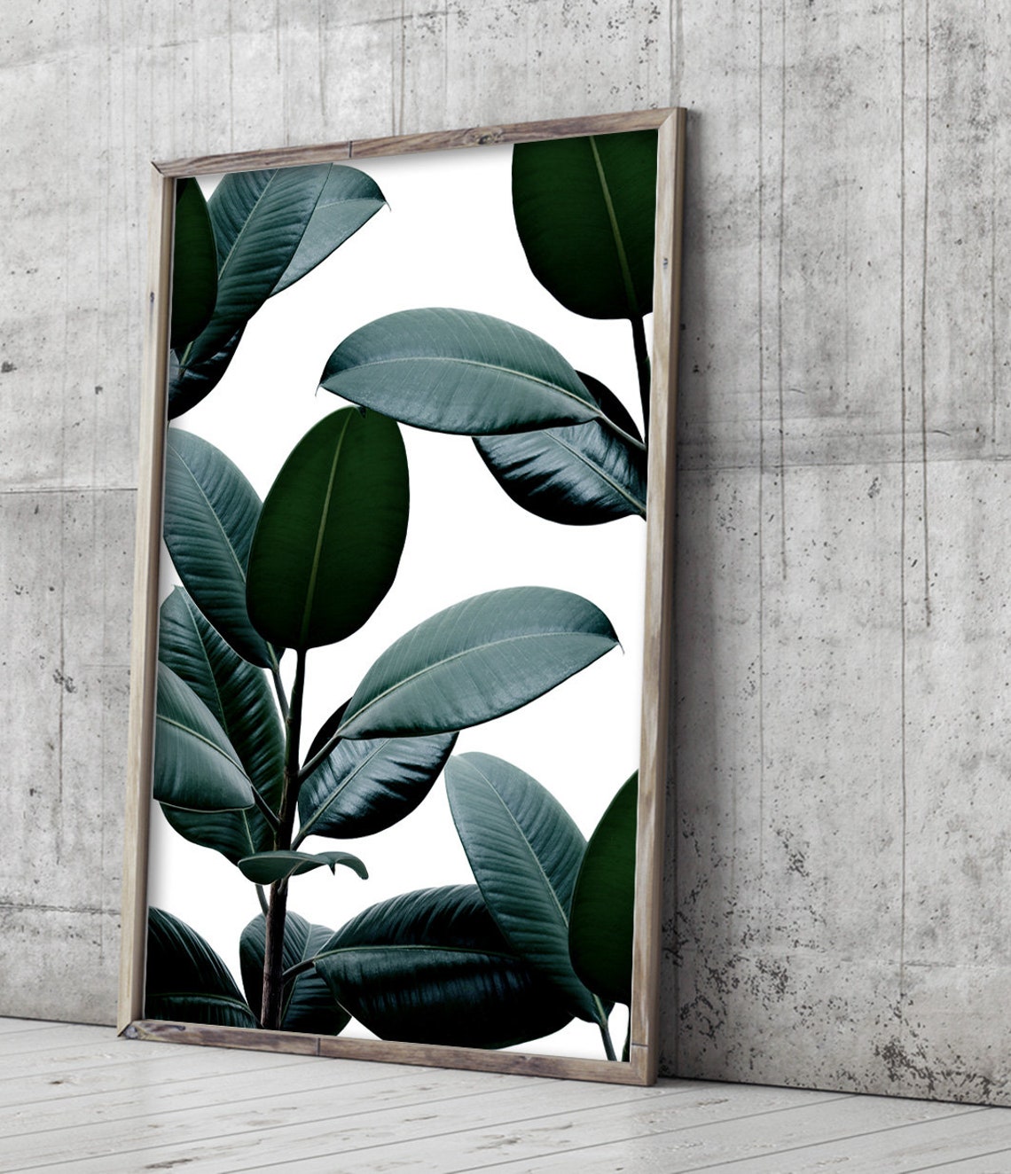 Ficus Elastica Dark Green Leaves Botanical Photography Wall Art Poster - Image 3