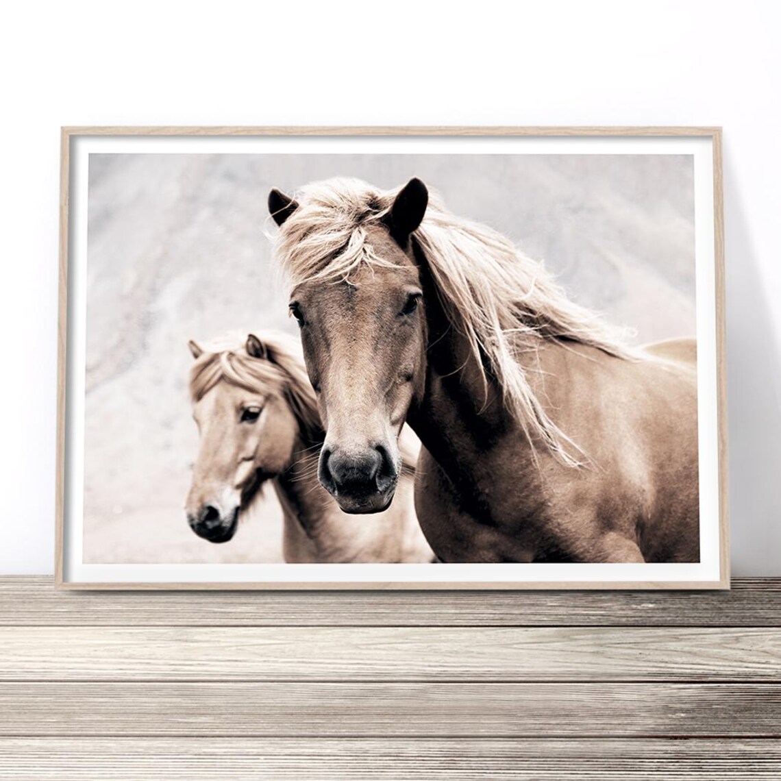Horse Equine Photography Art Print, Horse Lover Gift