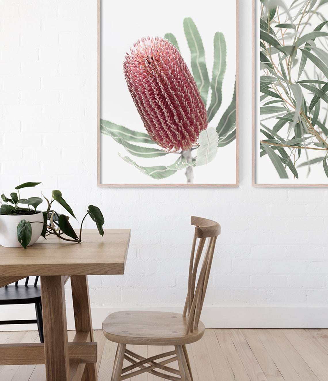 Pink Banksia Flower Blush Australian Native Botanical Wall Art Poster - Image 3