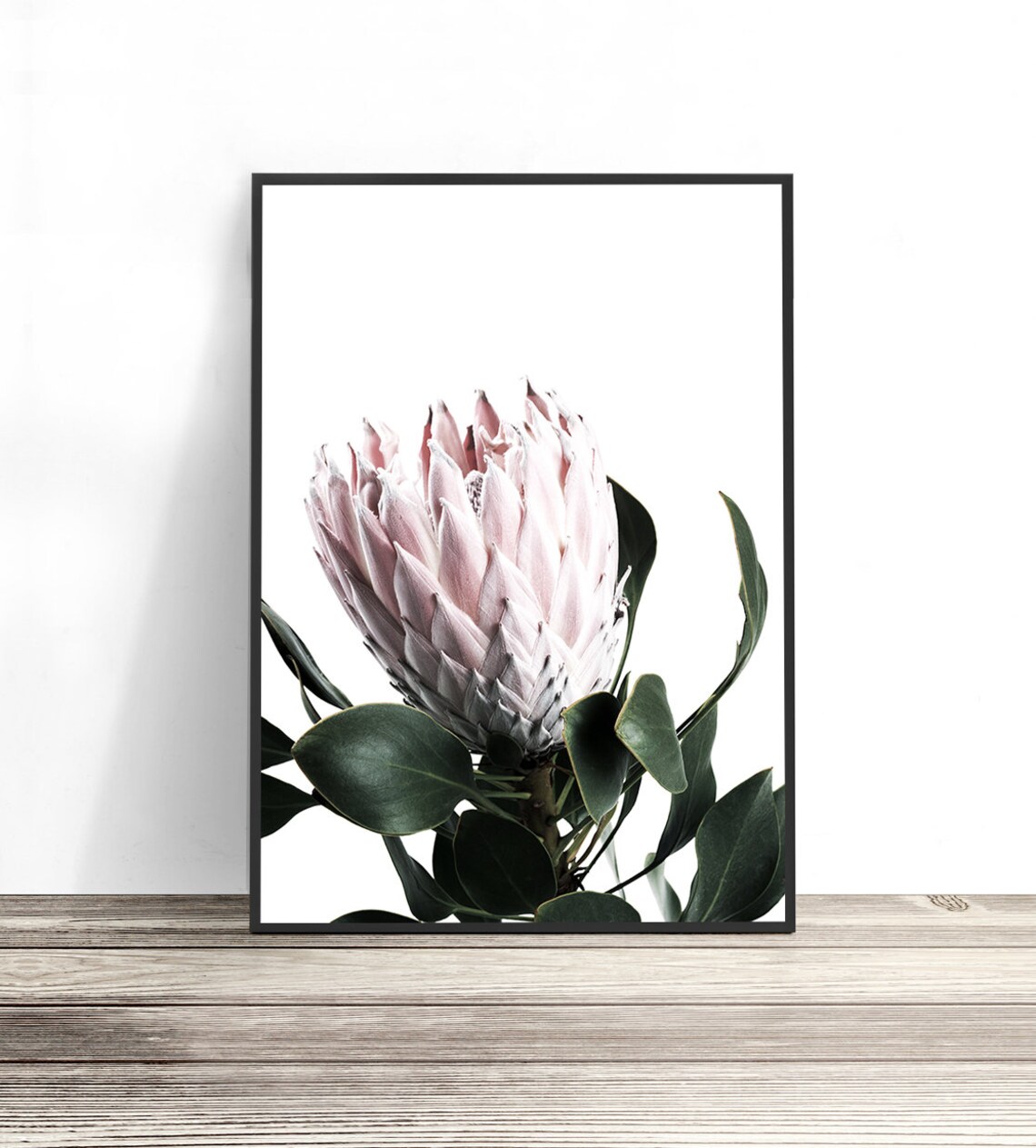 Blush Pink Protea Art Print, Botanical Wall Decor