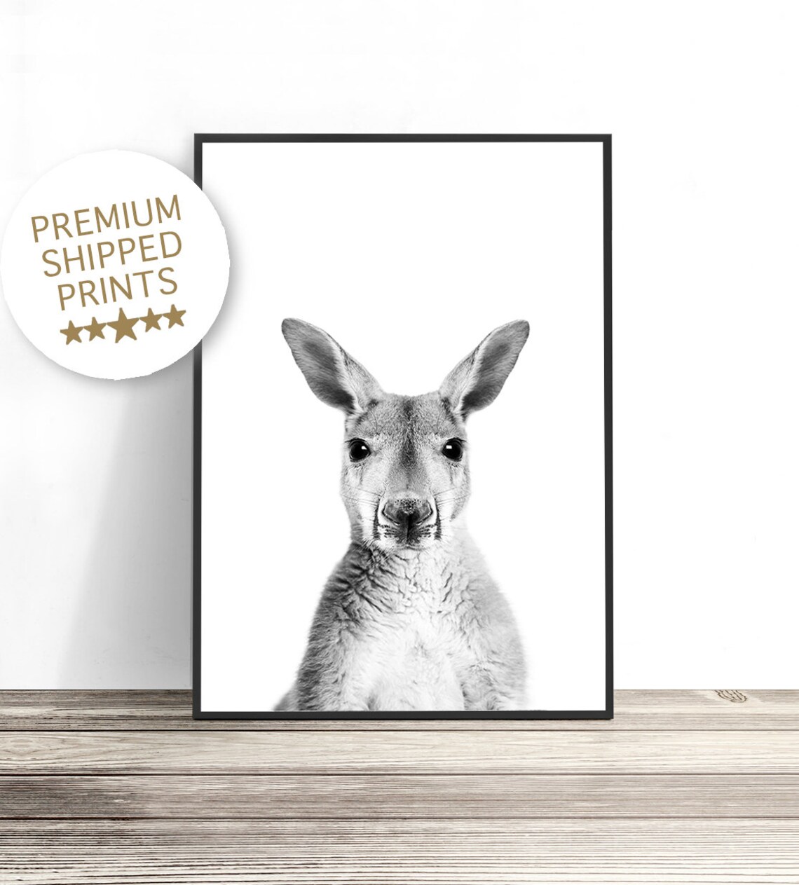 Kangaroo Australian Wildlife Photography Art Print