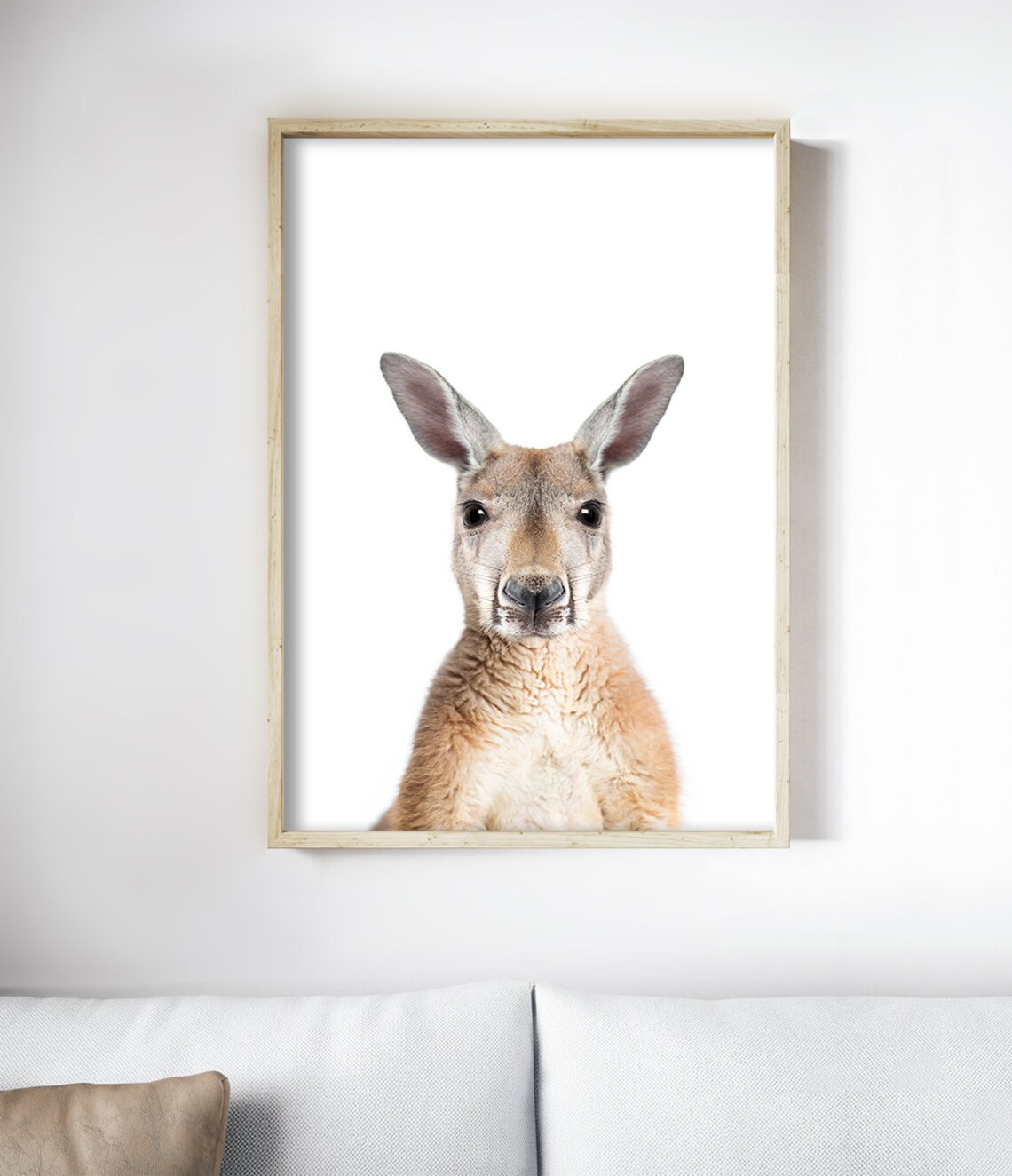 Kangaroo Photography Art Print, Native Australian Animal - Image 3