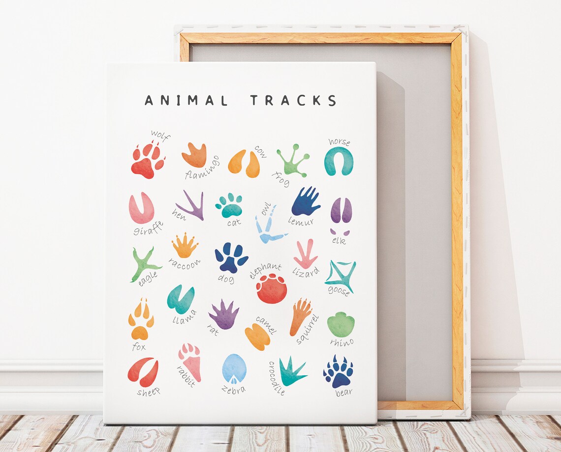 Animal Tracks Poster, Rainbow Nursery Decor - Image 2