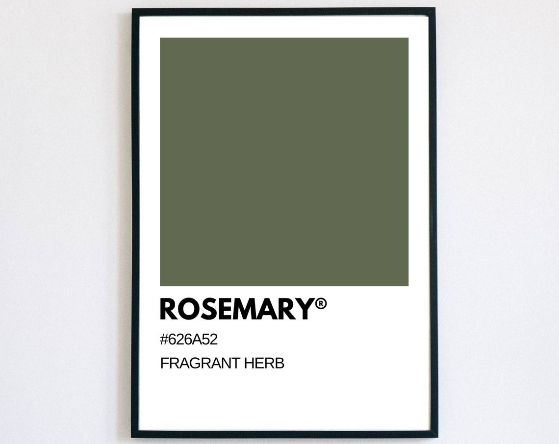 Rosemary Fragrant Herb Olive Green Pantone Style Color Swatch Poster - Image 3