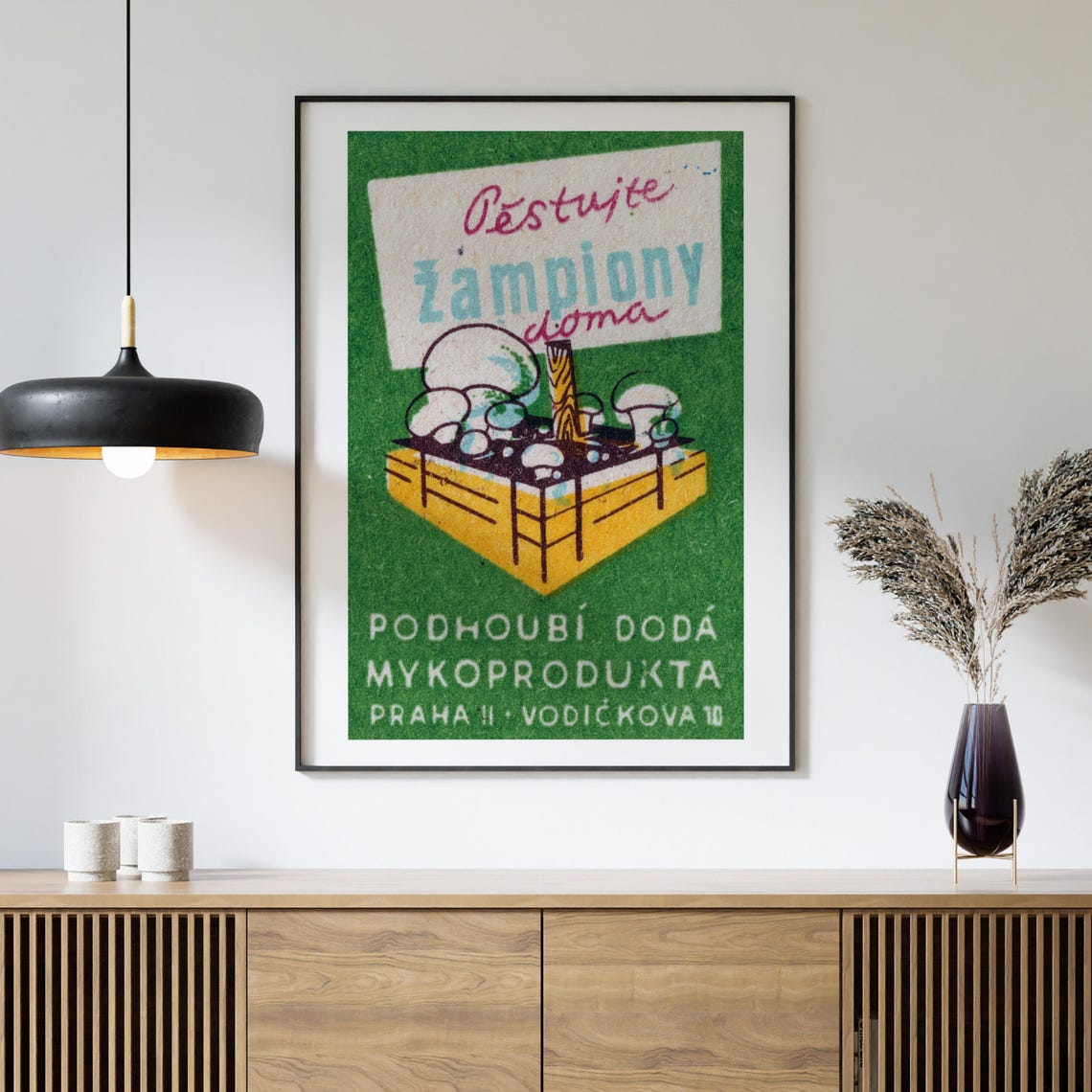 Grow Mushrooms at Home Crate Vintage Czech Matchbox Art Poster - Image 4