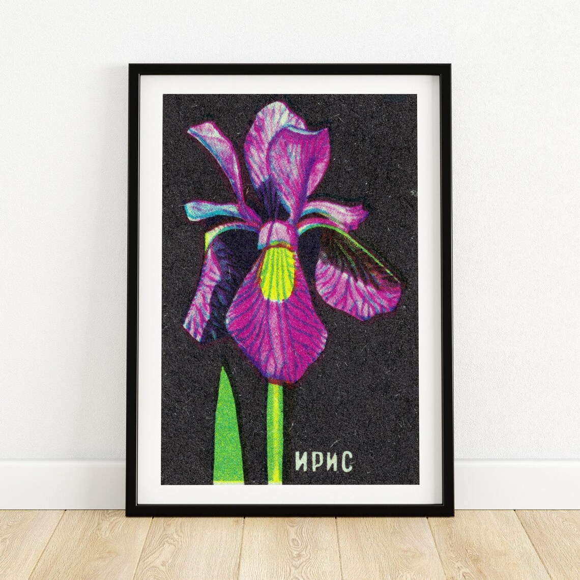 Soviet Iris Flower Matchbox Pink Floral Vintage Botanical Art Poster
