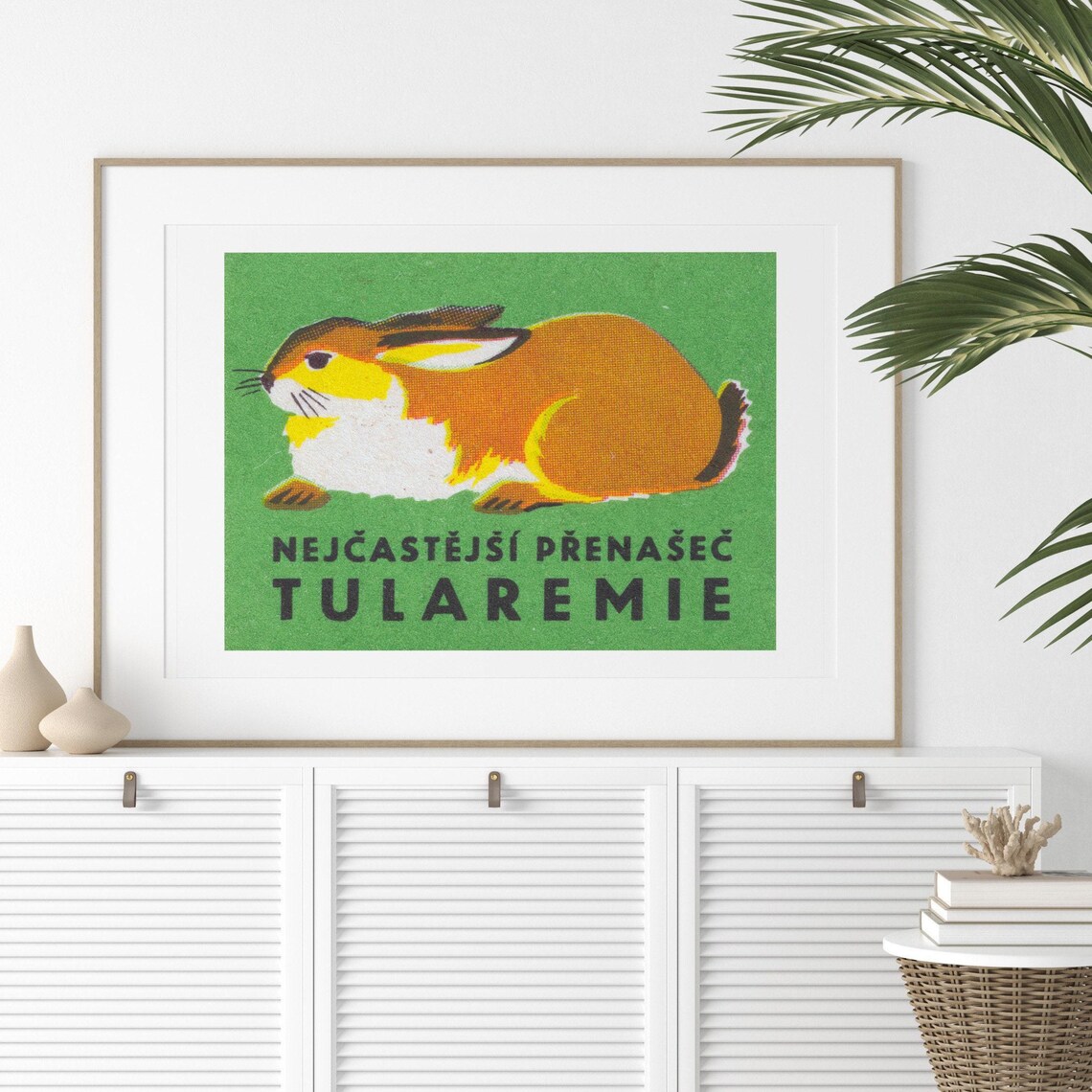 Sleeping Rabbit Vintage Czech Matchbox Label Tularemia Warning Green Art Poster - Image 2