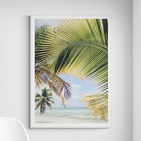 Sunlit Palm Fronds Tropical Beach Photography Fine Art Poster