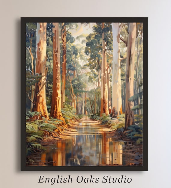Eucalyptus Forest Sunlit Path Still Water Reflection Nature Poster