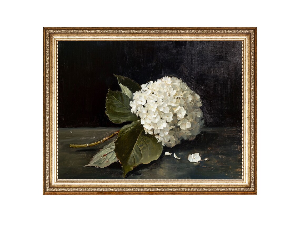 White Hydrangea Flower, Vintage Floral Art Print