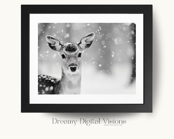 Baby Deer Fawn in Falling Snow Black and White Close Up Poster