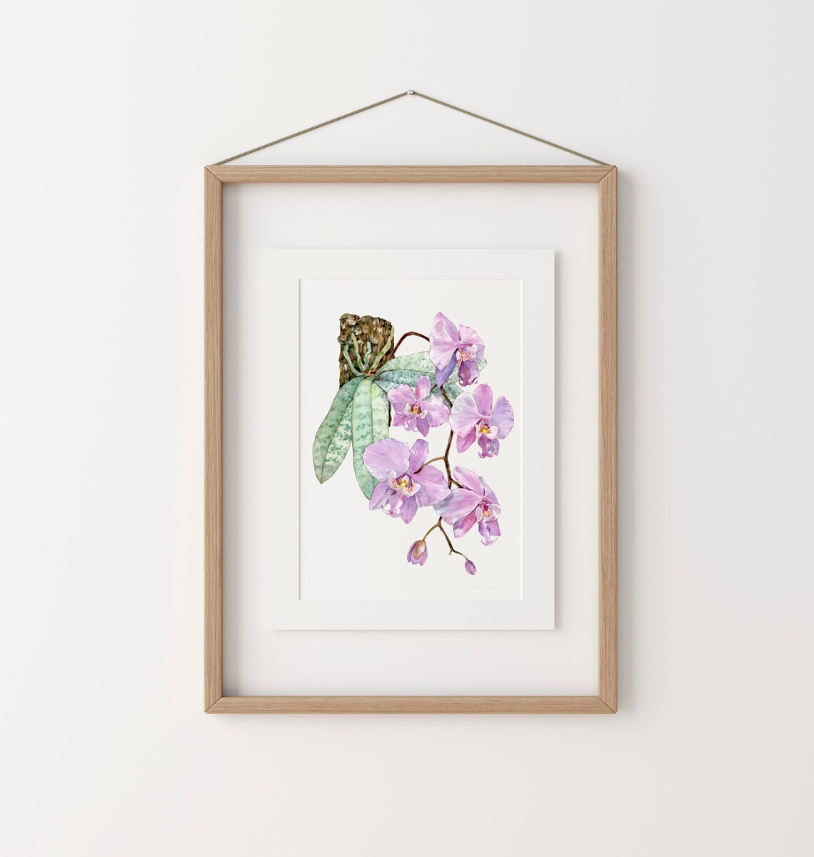 Phalaenopsis Schilleriana Pink Orchid Watercolor Bloom Poster - Image 3