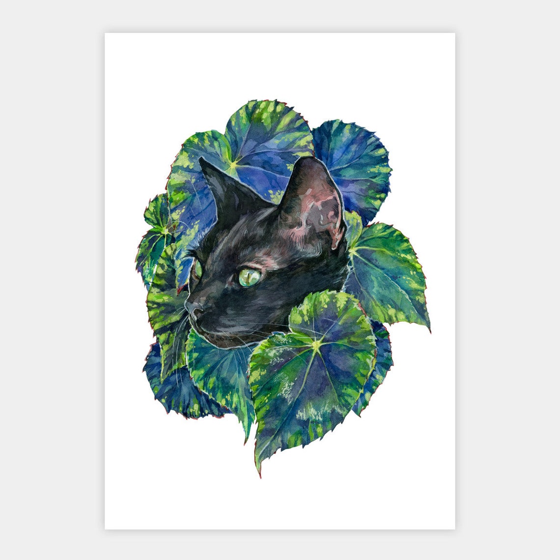 Black Cat Peeking Through Begonia Leaves Watercolor Animal Poster