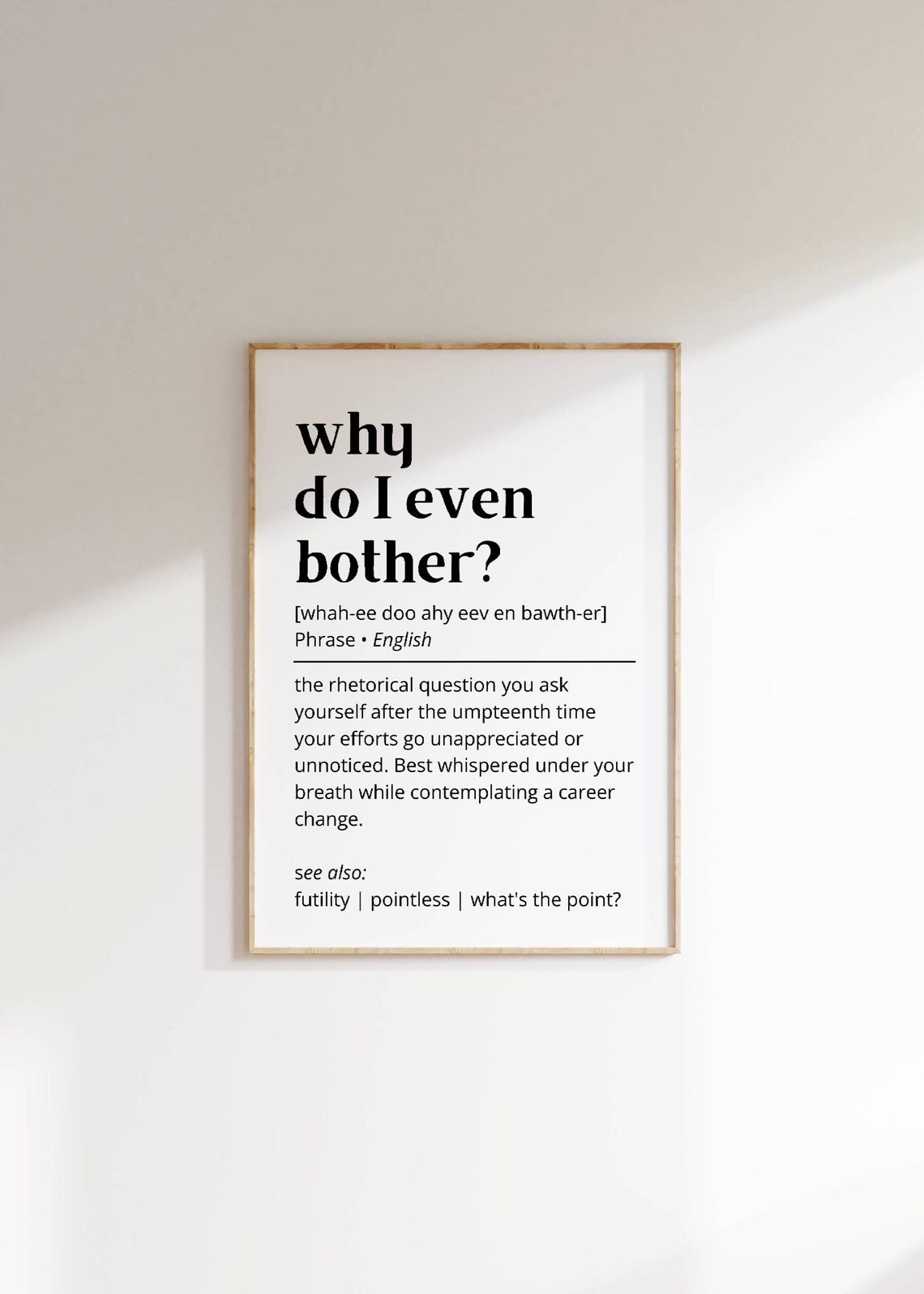 Why Do I Even Bother Funny Phrase Dictionary Definition Poster