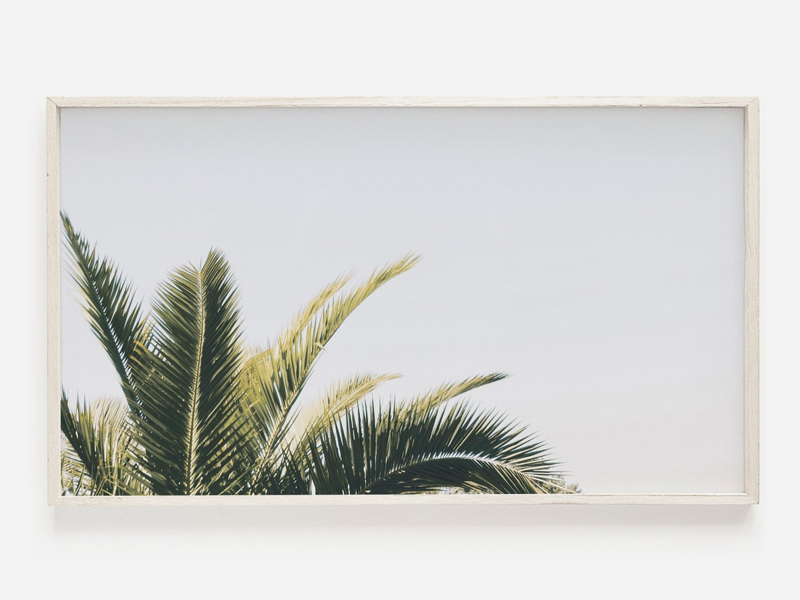 Palm Fronds Pale Sky Minimal Botanical Tropical Close Up Poster