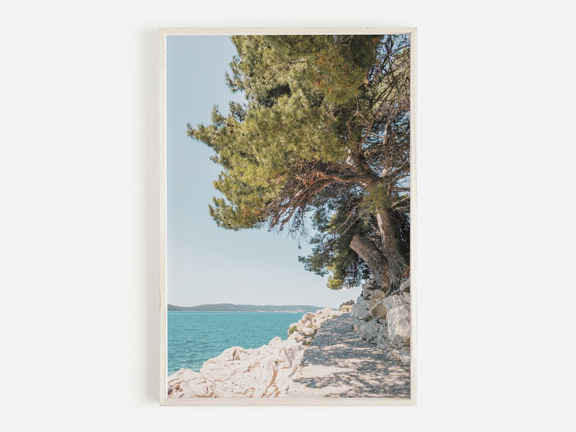 Kvarner Gulf Croatia Aleppo Pine Coastal Art Print