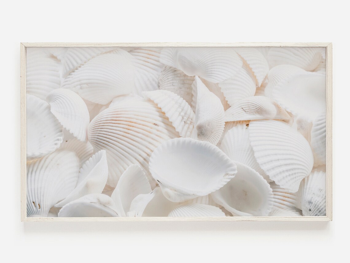 Sea Shell Photo Neutral Beach Art Print, Boho