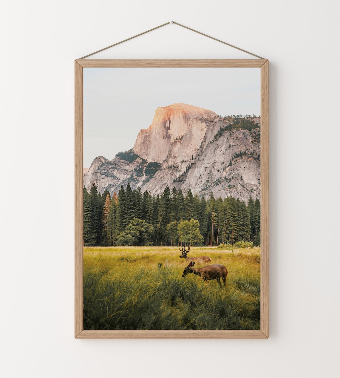 Deer in Meadow, Yosemite Wildlife Wall Art Print - Image 2