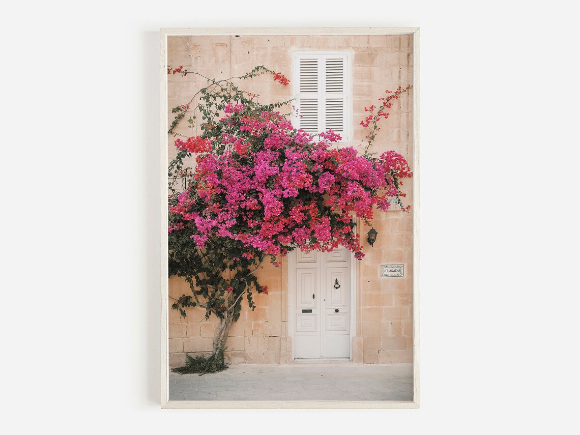 Bougainvillea Print, Greek Architecture Art Print