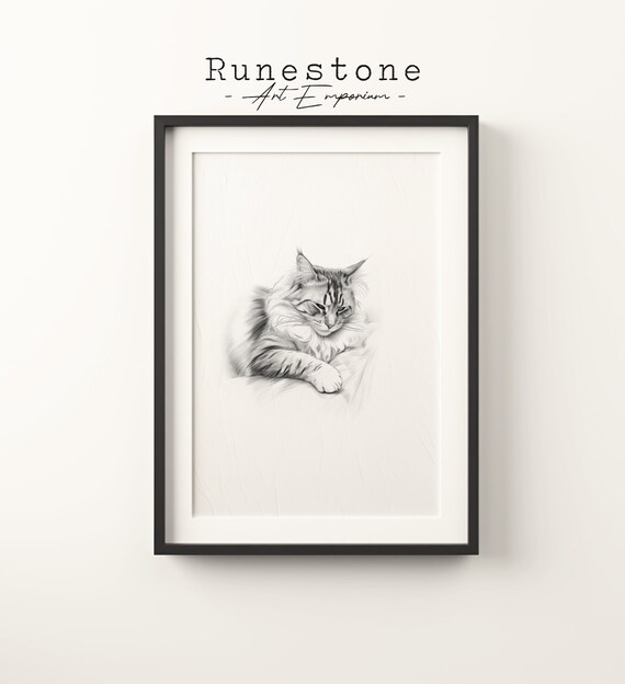 Resting Long Haired Cat Pencil Sketch Cozy Sleeping Pet Art Poster