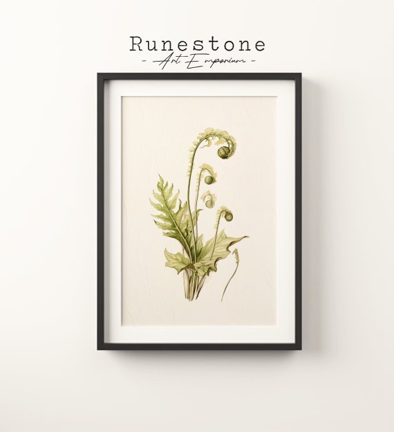 Botanical Fern Fiddlehead Sketch Tropical Boho Wall Art Minimalist Bohemian Hand Drawn Nature Print