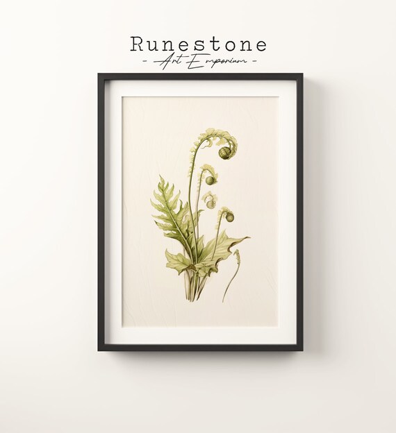 Curling Fern Botanical Sketch Green Vintage Plant Study Art Poster
