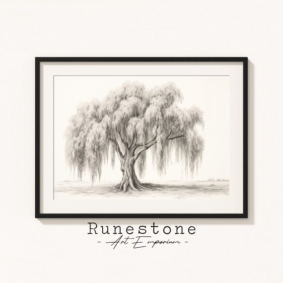 Willow Tree Sketch Botanical Minimal Portrait Art Print