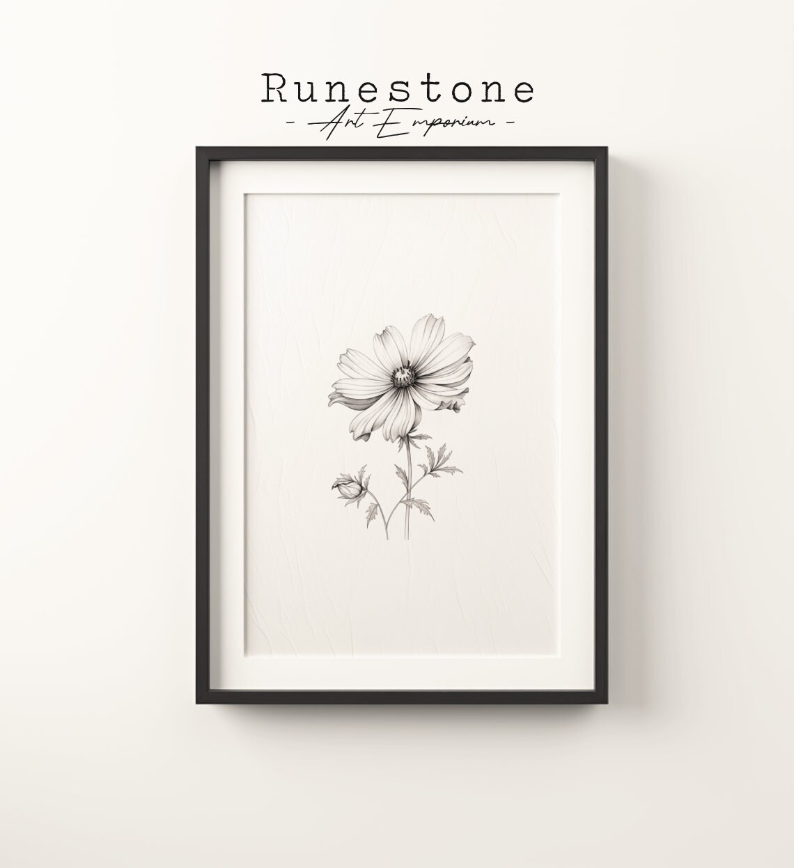 Comos Flower Sketch Art Print, Botanical Minimal Portrait