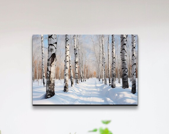 Snowy Winter Birch Trees, Nature Gallery Style