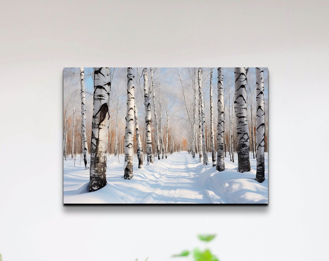 Snowy Winter Birch Trees, Nature Gallery Style