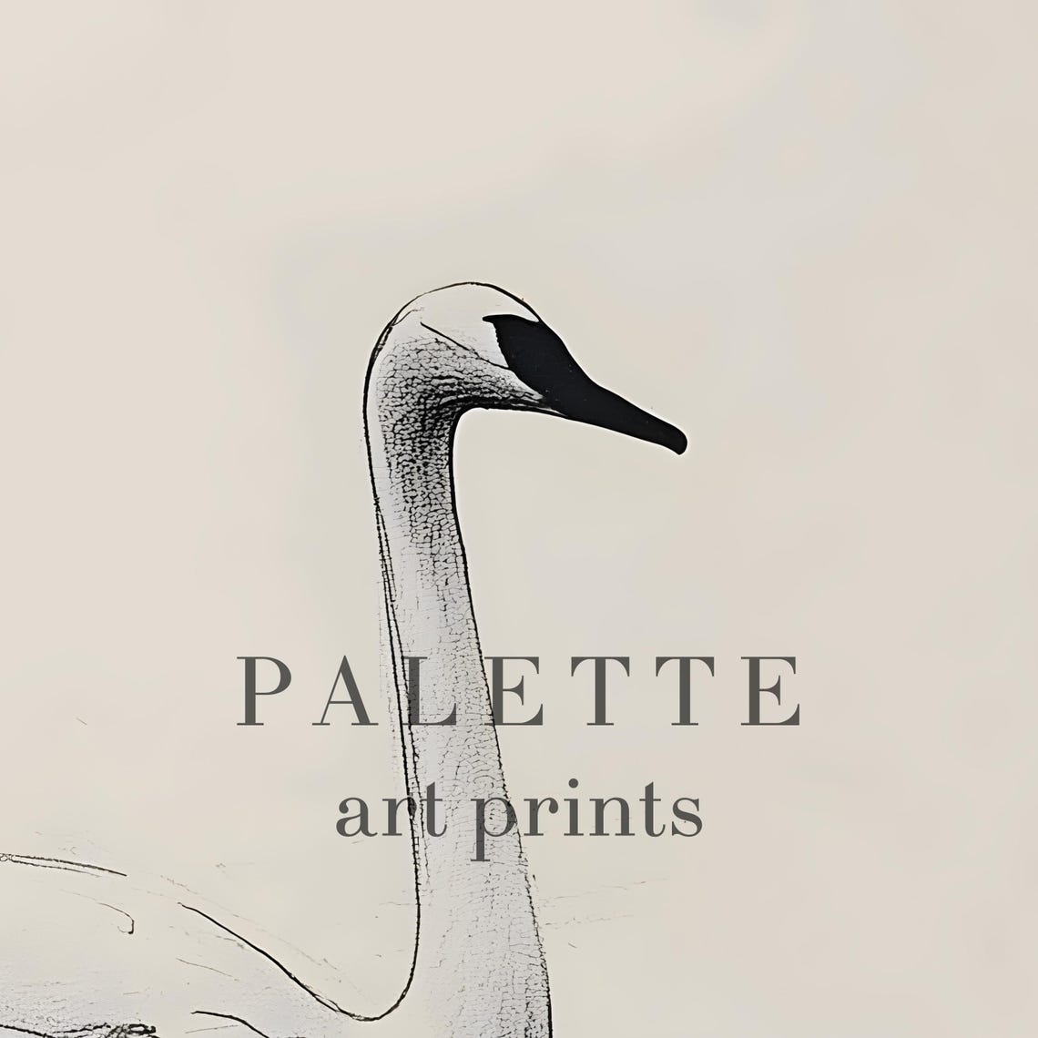 Graceful Swan Floating on Calm Water Minimal Pencil Drawing Wall Art - Image 2
