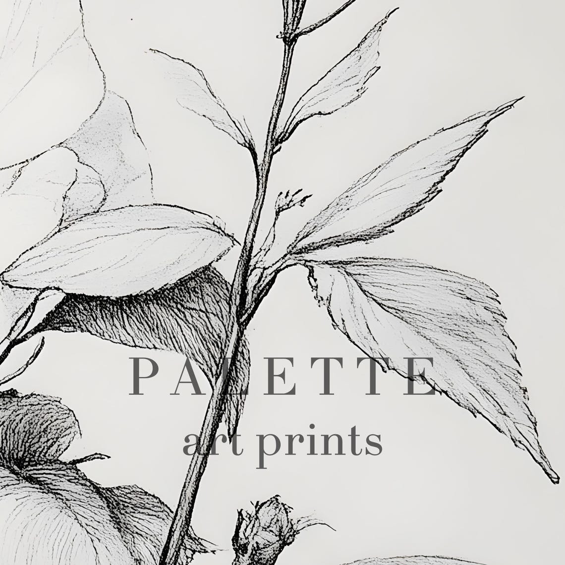 Blooming Flower Botanical Line Sketch Delicate Floral Drawing Poster - Image 2