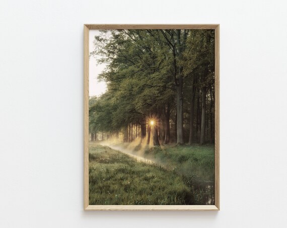 Dark Green Forest Modern Landscape Art Print
