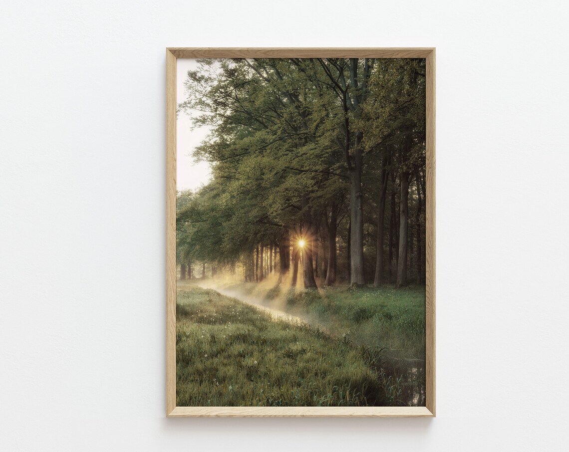 Dark Green Forest Modern Landscape Art Print