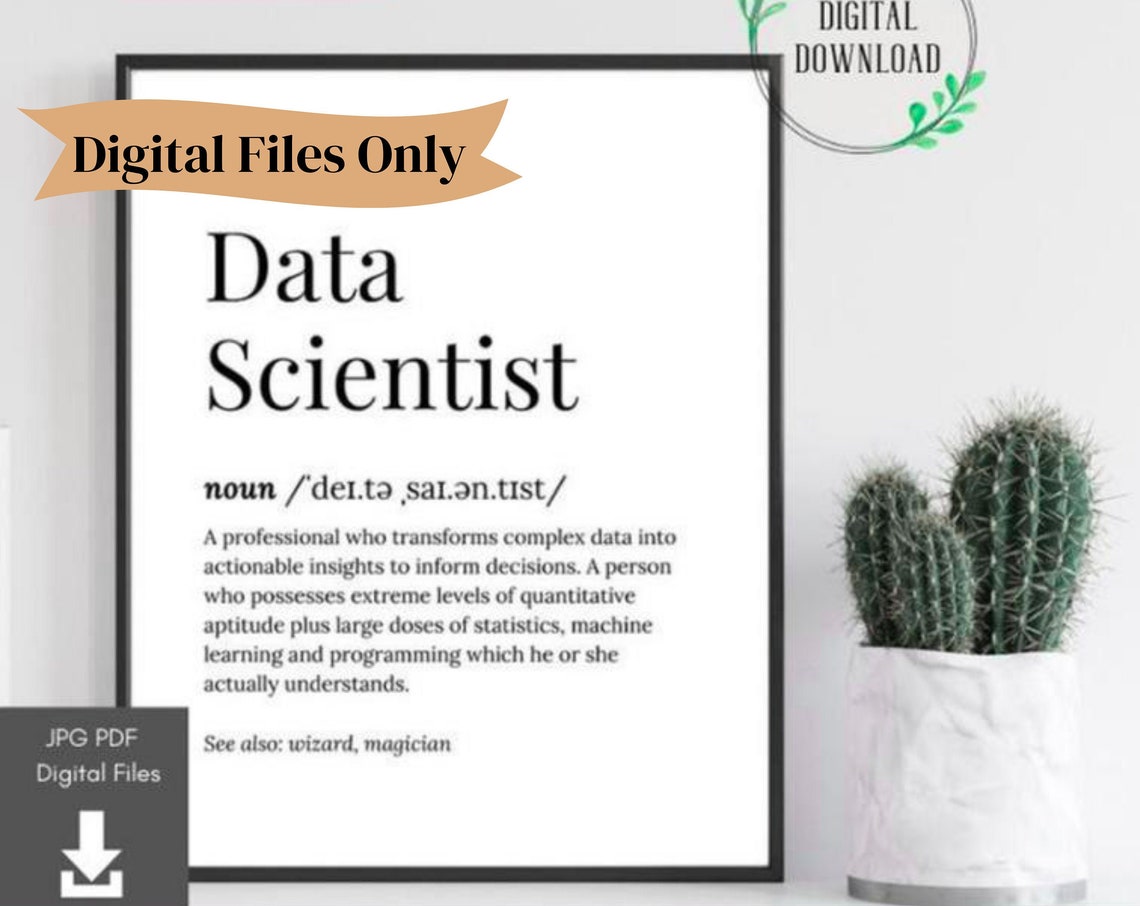 Data Scientist Funny Dictionary Definition Graduation Gift Poster