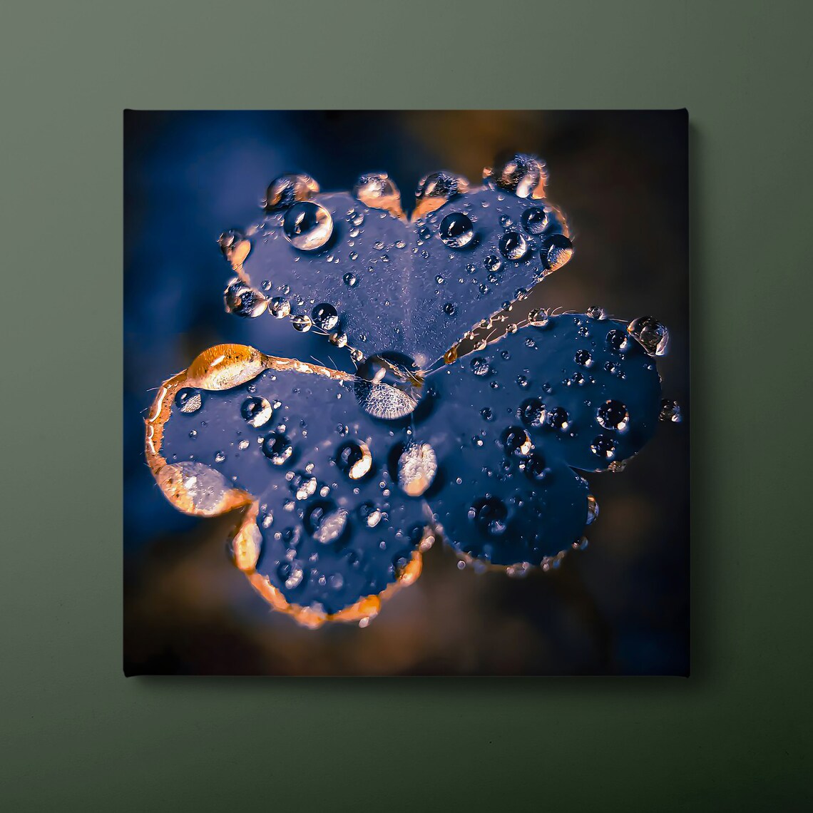 Water Droplet On Flower Clover Floral Art Print