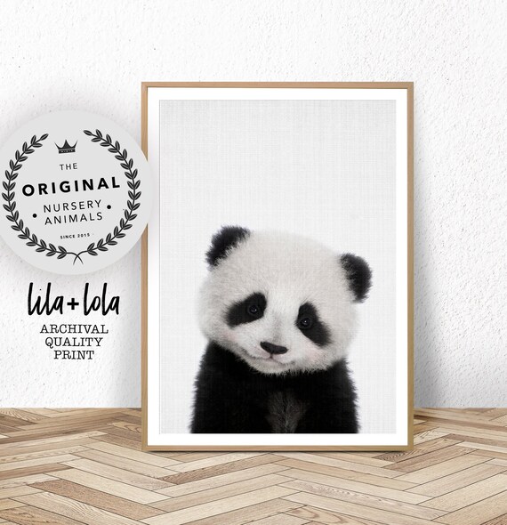 Baby Panda Print Nursery Animal Wall Art Kids Bedroom Poster Boys Room Decor