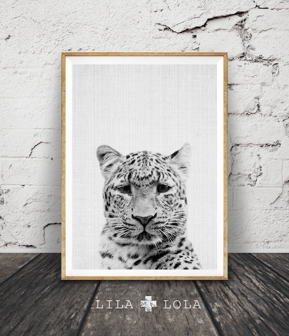 Cheetah Portrait Black And White Safari Animal Art Print