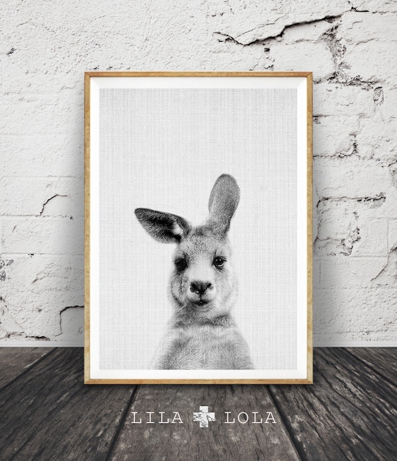 Kangaroo Portrait Art Print, Australian Animal