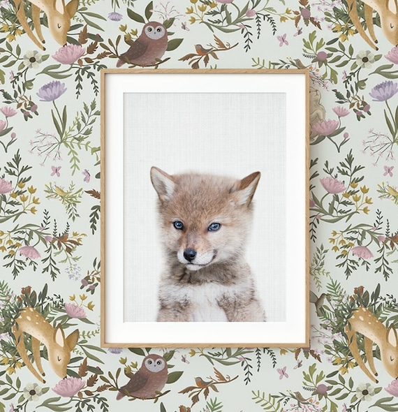 Baby Coyote Pup Art Print, Nursery Animal Decor