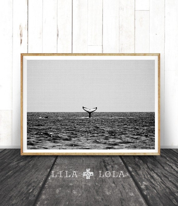 Whale Tail Black And White Ocean Photography Art Print