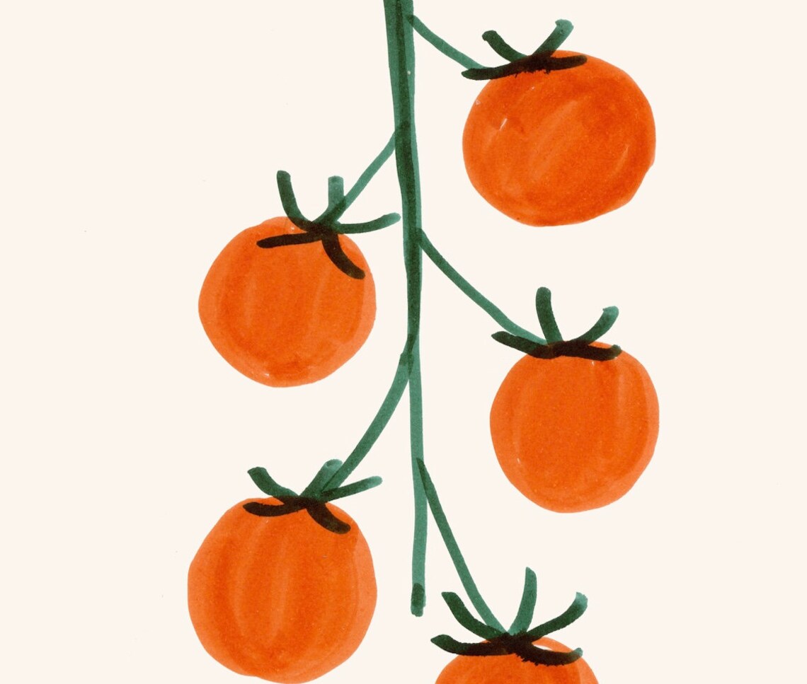 Vine Tomatoes Art Print, Kitchen Wall Art - Image 3