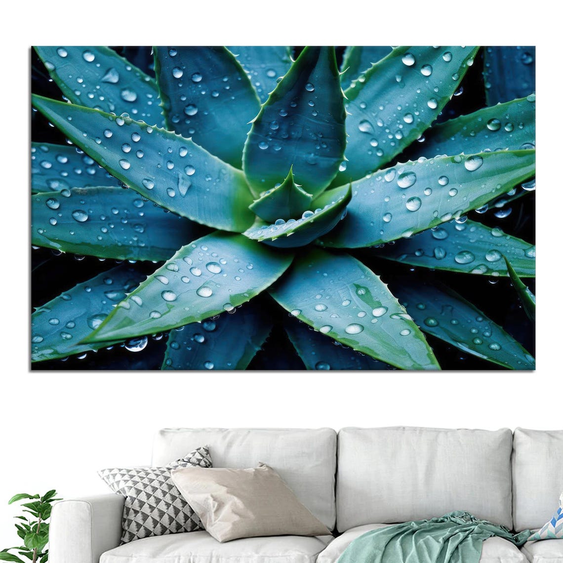 Aloe Vera Plant Water Droplets Macro Botanical Photo Wall Poster