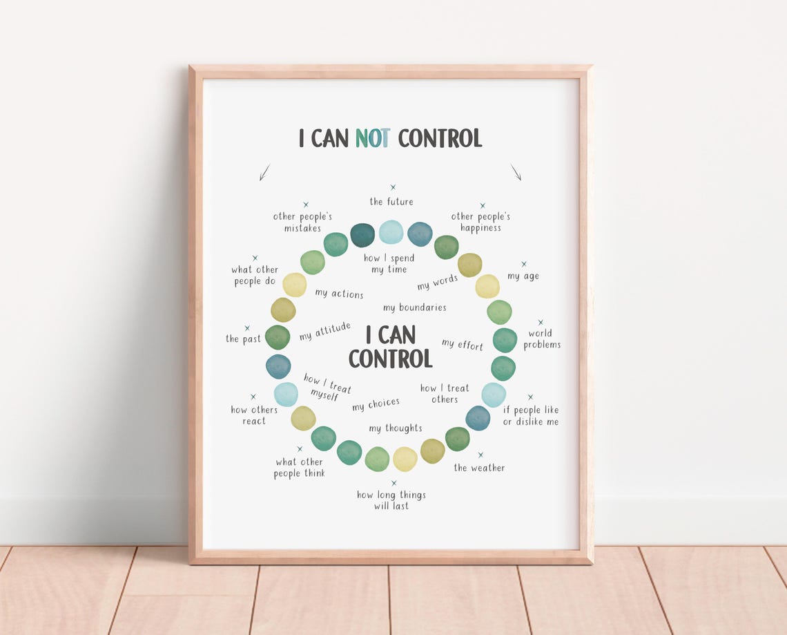 Things I Can Control Poster Therapy Office Circle Mental Health Coping - Image 4