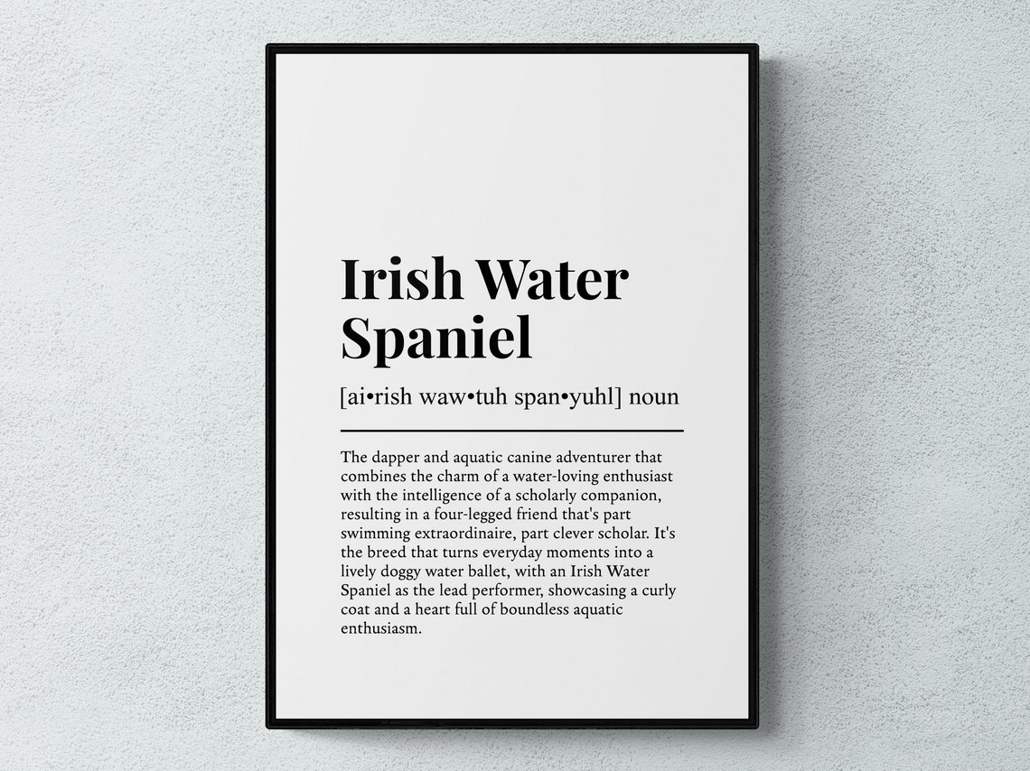 Irish Water Spaniel Dog Dictionary Definition Black White Poster
