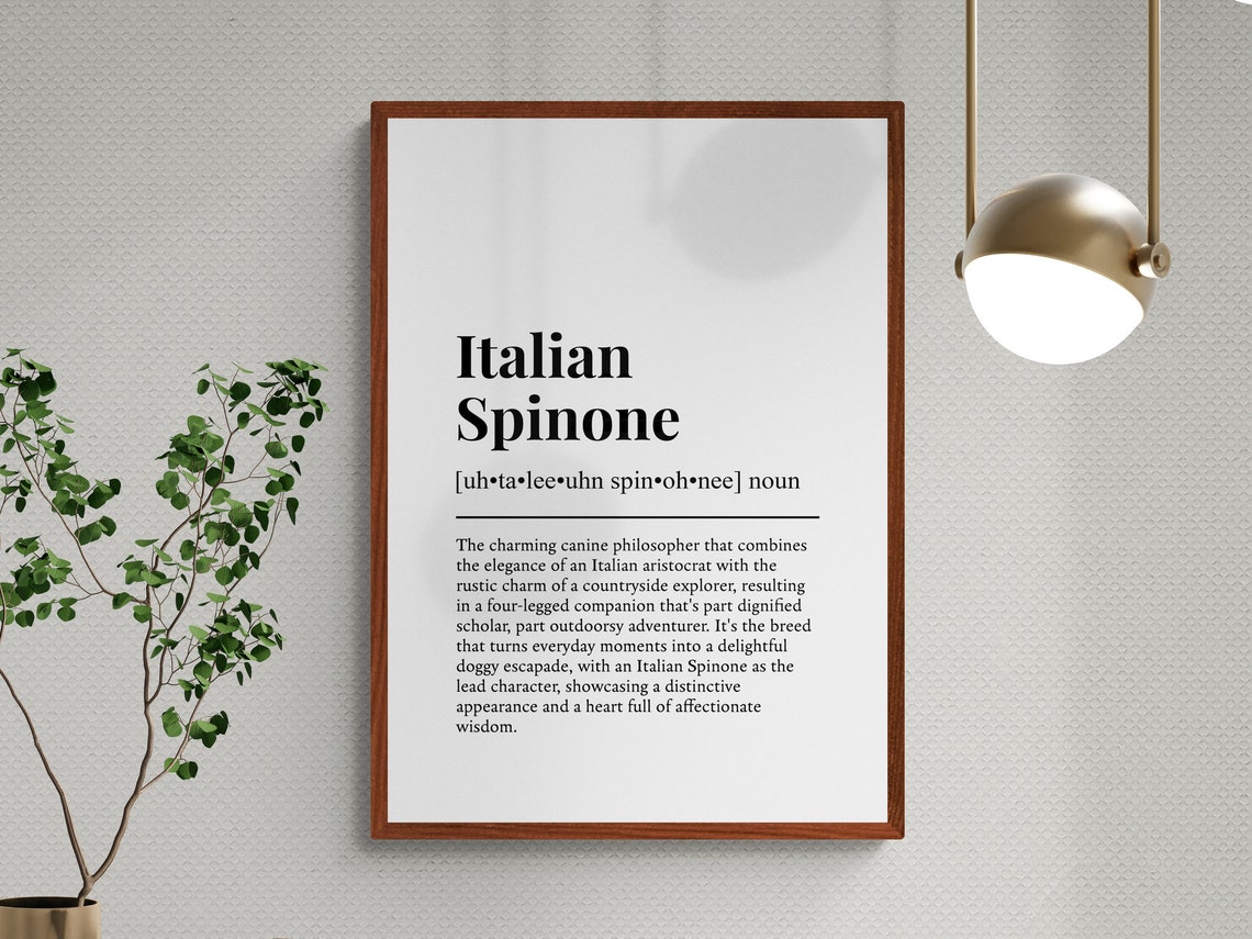 Italian Spinone Funny Definition Dictionary Art Dog Lover Wall Art - Image 3