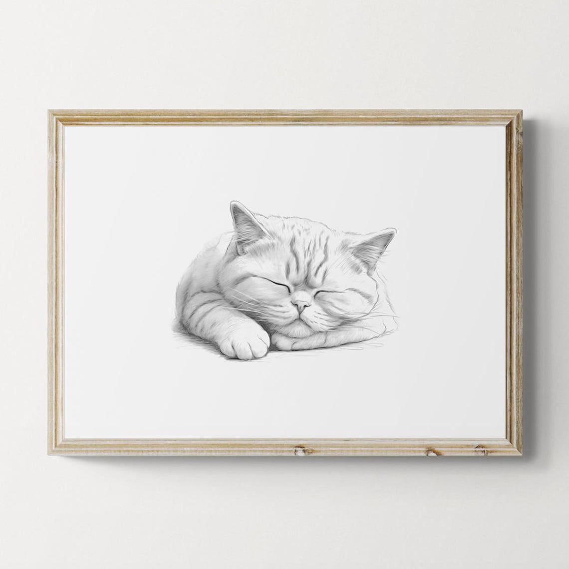 Sleeping Exotic Shorthair Kitten Sketch Black White Cat Art Print